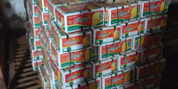 Shipment By Sea - Pakistani Mango
