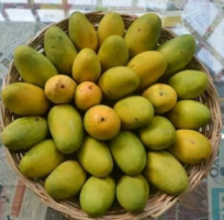 deshari mango